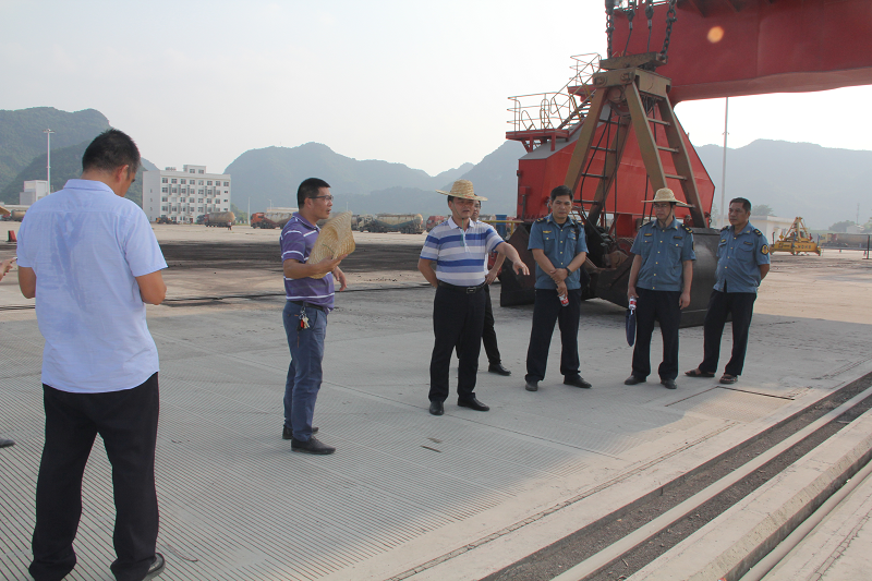 检查组在崇左港中心港区濑湍作业区现场图.png