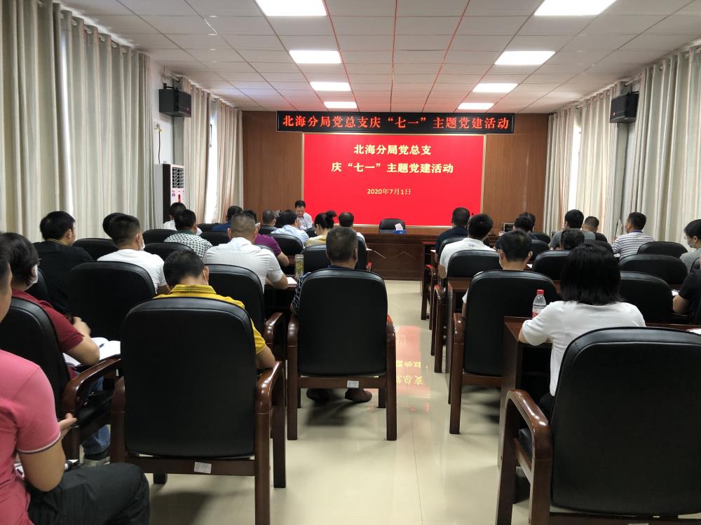 七一主题党建活动 (1).jpg