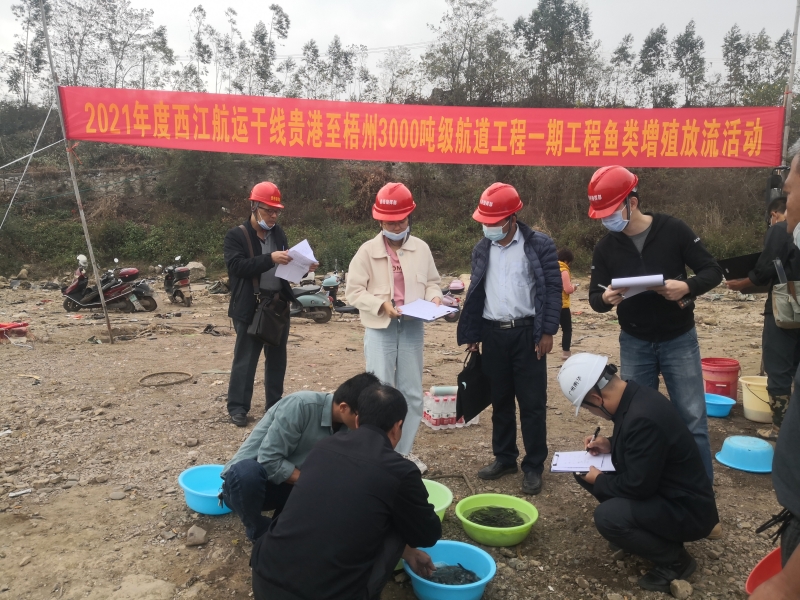 开展鱼类增殖放流活动（刘燕飞 供图）.jpg