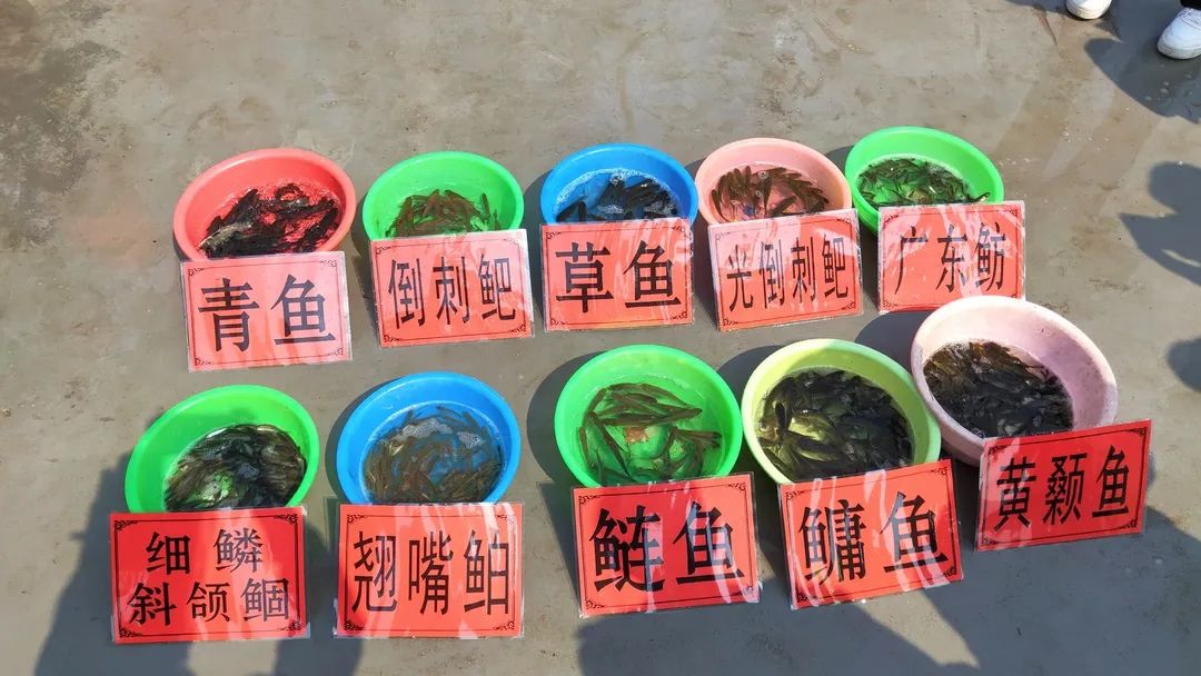 微信图片_20230306090222.jpg 微信图片_20230306090222.jpg