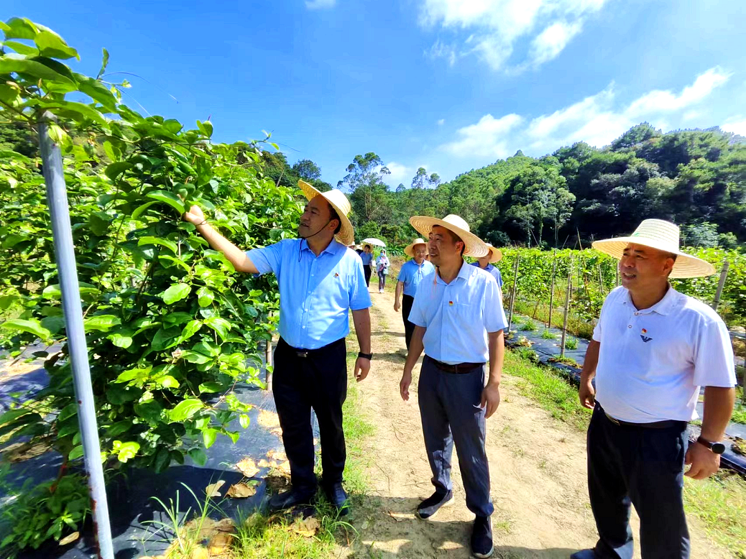 微信图片_20230605192105.png 微信图片_20230605192105.png