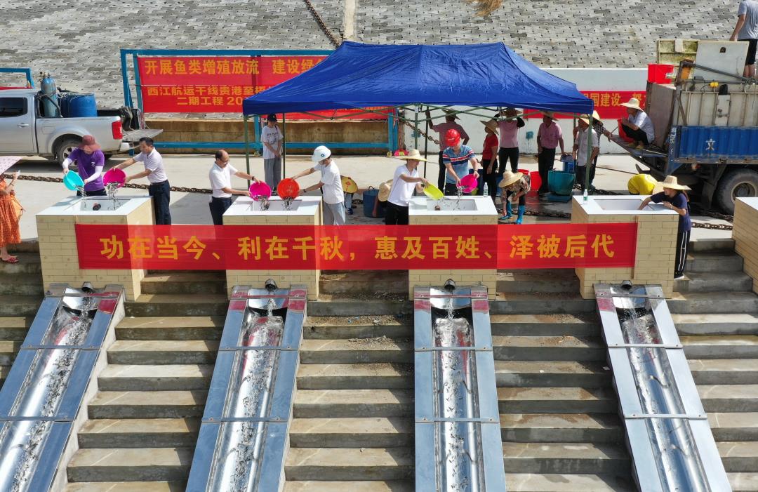 贵梧3000吨级航道工程建设指挥部开展增殖放流活动.JPG
