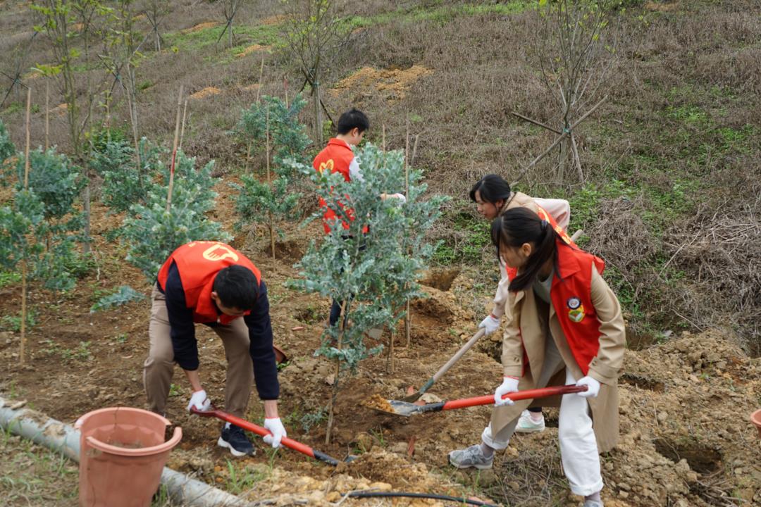 微信图片_20240325084709.jpg 微信图片_20240325084709.jpg