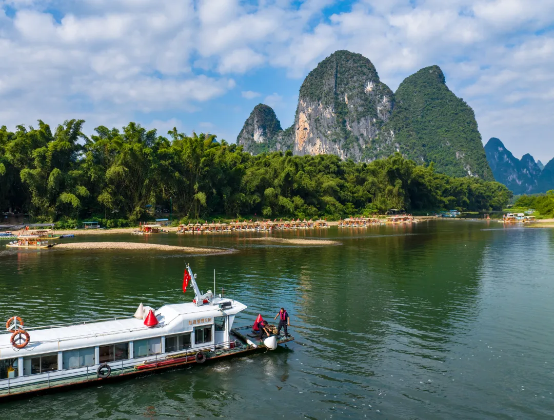 1772522532569056880.png 973721c1-337b-4a72-8015-3046c6920a0a.png